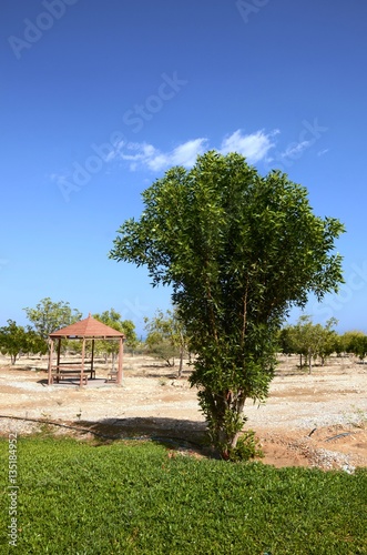 Oman : Hawiyat Najm – Dabab Sinkhole  photo