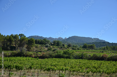 Dentelles de Monmiraille