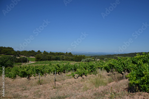 Dentelles de Monmiraille