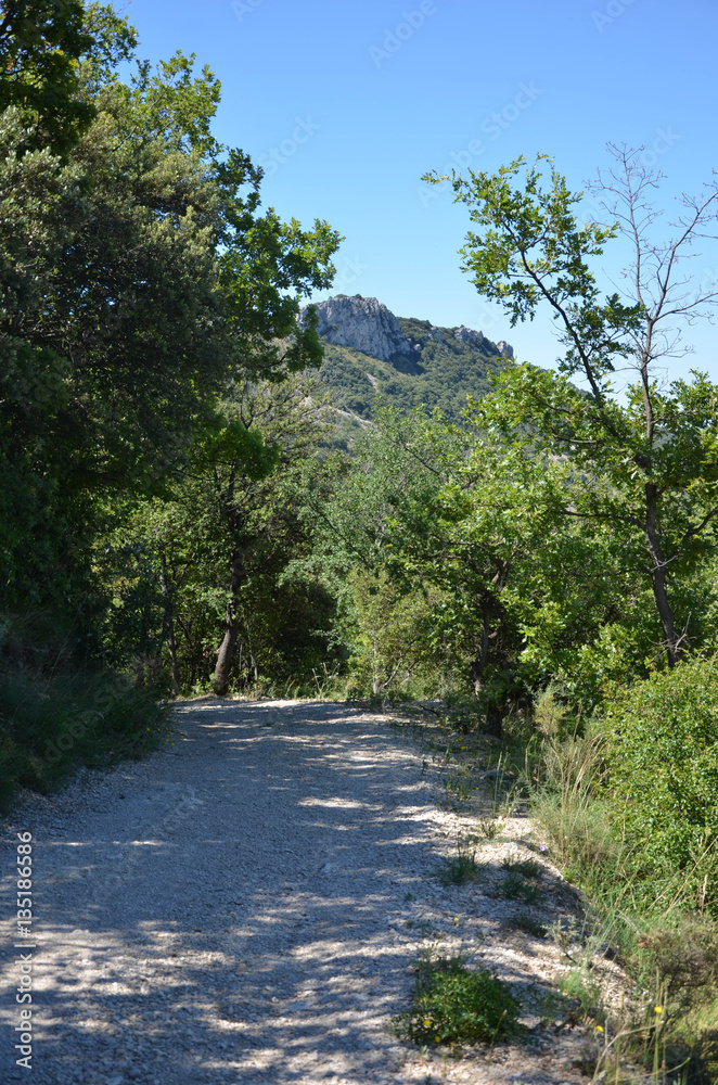 Fototapeta premium dentelles de montmiraille
