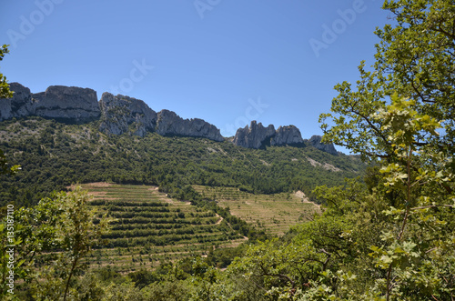 Dentelles de montmiraille
