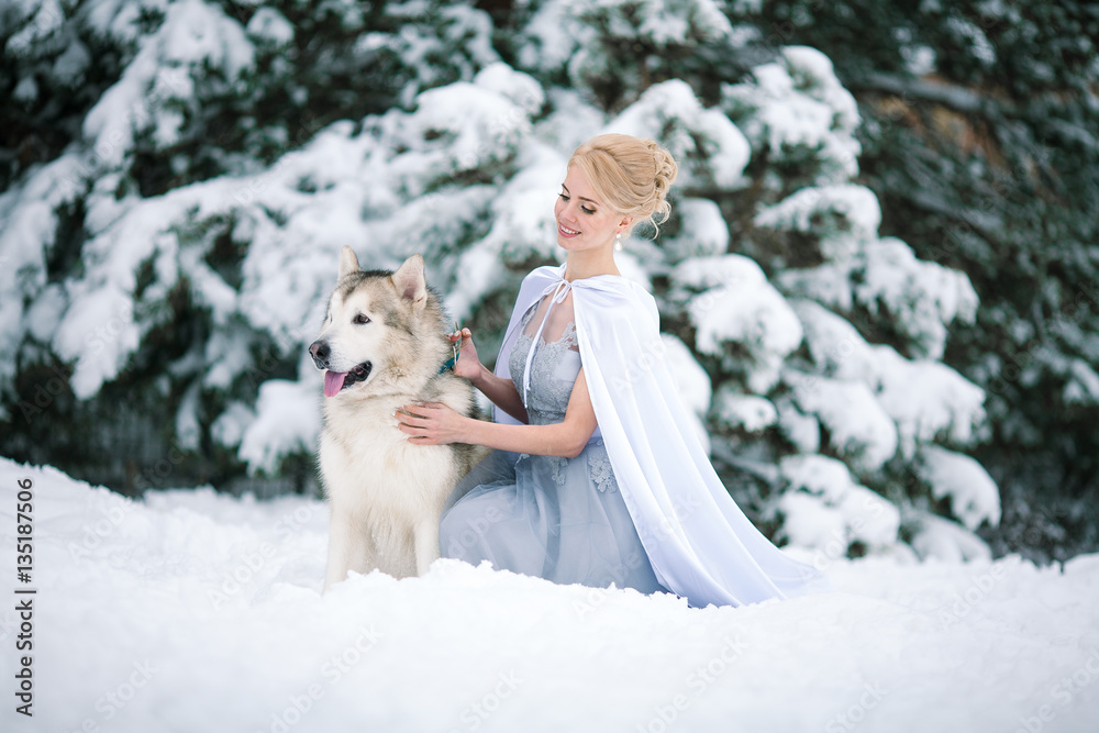 Bride in winter with dog malamute sitting in snow. Bride in winter with dog malamute sitting in snow.