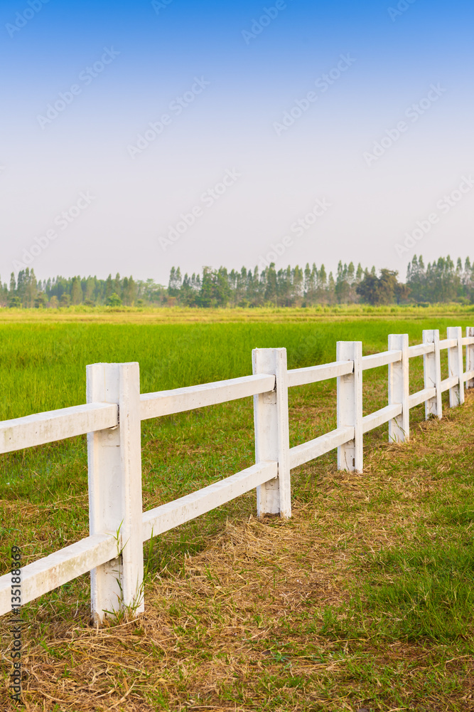 white fence in farm