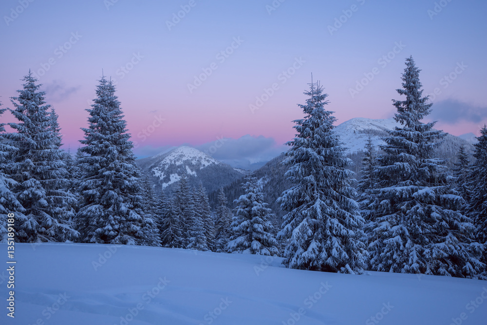 Magic evening in the winter mountains after snowfall Magic evening in the winter mountains after snowfall