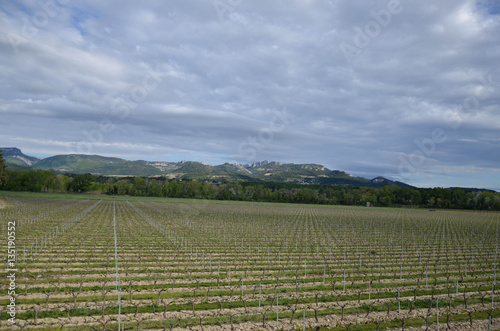 Wallpaper Mural Séguret Torontodigital.ca