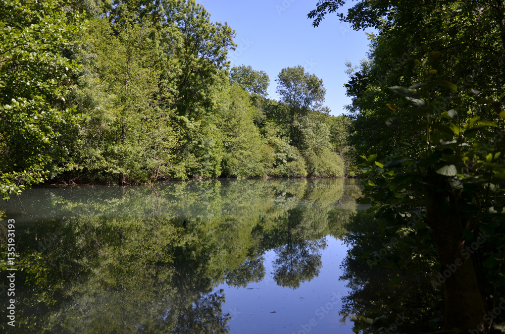 Nature Nature