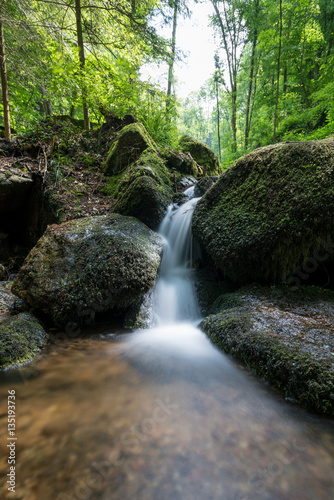 Fototapeta Naklejka Na Ścianę i Meble -  waterfall in the natural forrest