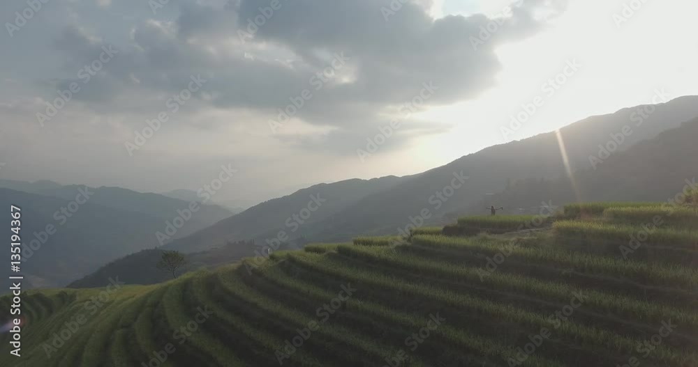 Top view or aerial shot of fresh green and yellow rice fields.Longsheng or Longji Rice Terrace in Ping An Village, Longsheng County, China. Top view or aerial shot of fresh green and yellow rice fields.Longsheng or Longji Rice Terrace in Ping An Village, Longsheng County, China.