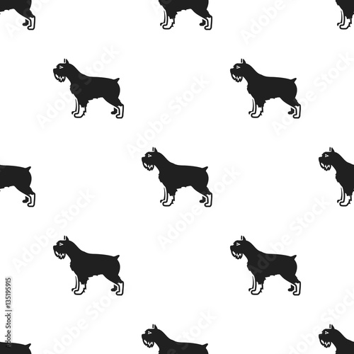 Schnauzer vector icon in black style for web