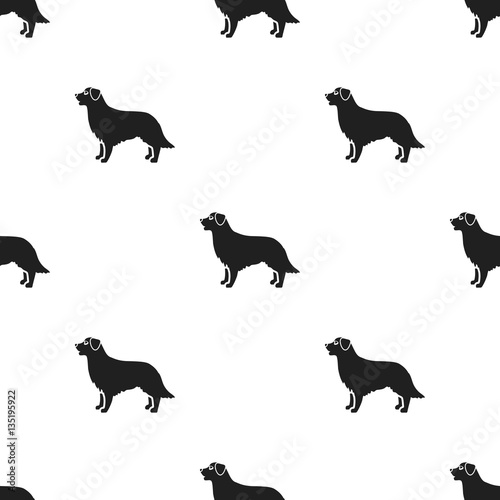 Retriever vector icon in black style for web