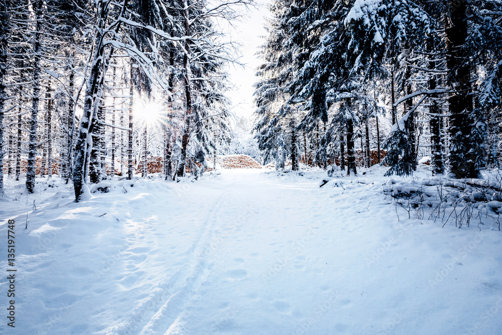 Verschneiter Wanderweg im Wald Verschneiter Wanderweg im Wald