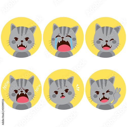 Little pet cute grey cat facial expressions on flat color style