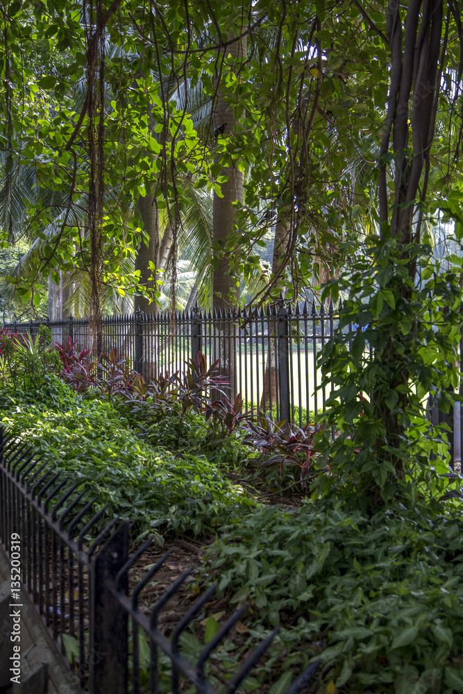 Oval Maidan in Mumbai, India Oval Maidan in Mumbai, India