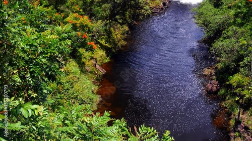 A vibrant image of Umauma Falls in Hawaii shows the three tier cascade of a beautiful natural wonder. photo