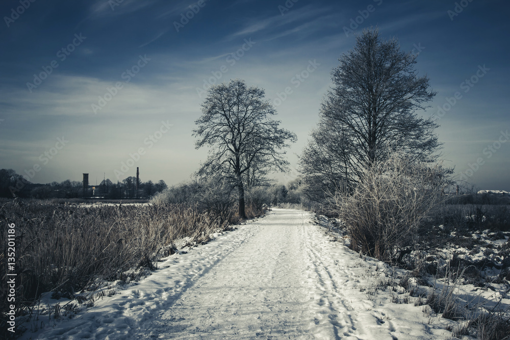 Snowy scenic road during winter in Poland, Europe. Sunny day winter season. Outdoor landscape. Frozen trees. Snowy scenic road during winter in Poland, Europe. Sunny day winter season. Outdoor landscape. Frozen trees.