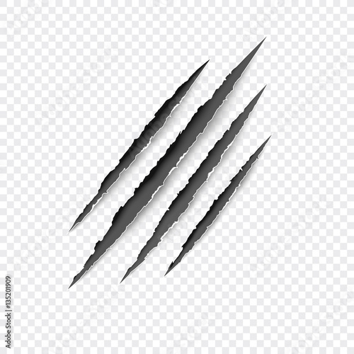 Claws scratches - vector isolated on transparent background. Claws scratching animal (cat, tiger, lion, bear) illustration.  photo