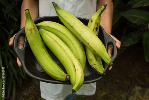 Foto hands holding  cook bananas - regional tropical fruits in a try
