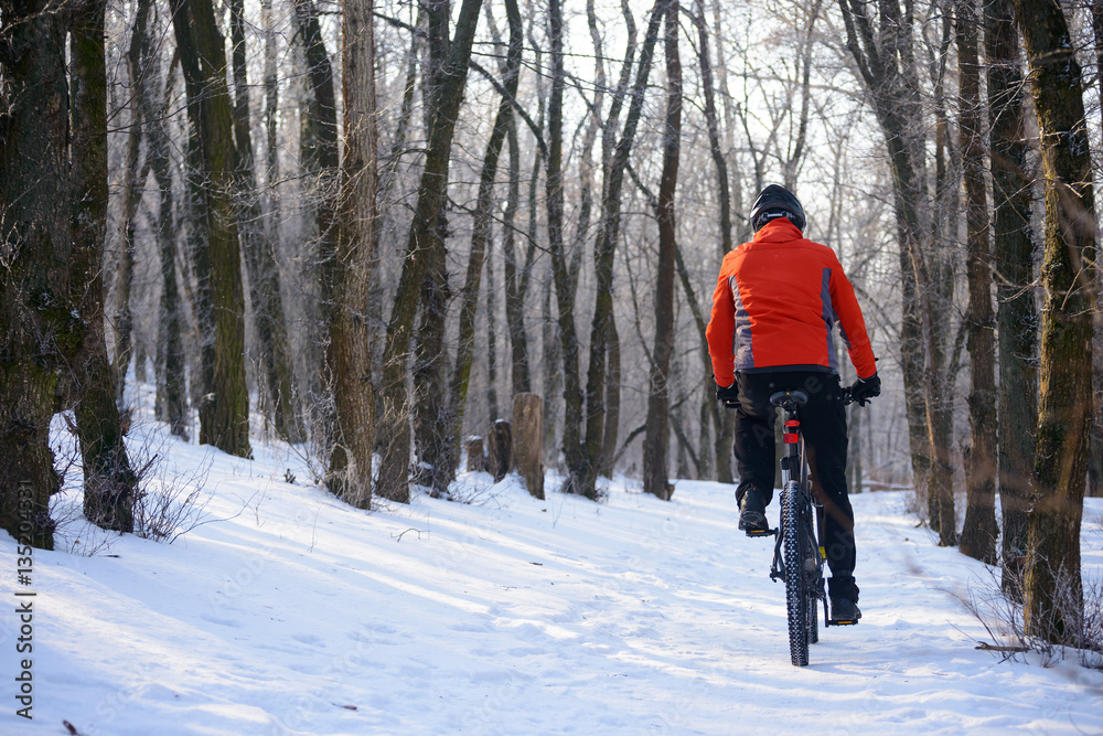 Mountain Biker Riding Bike on the Snowy Trail in Beautiful Winter Forest