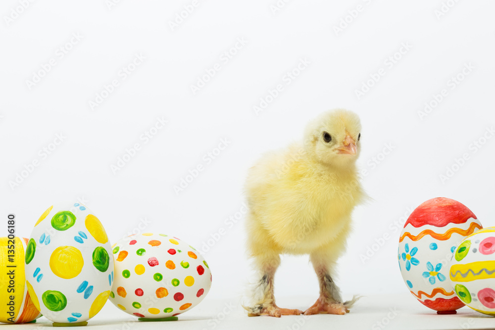 Little chicks and Easter eggs