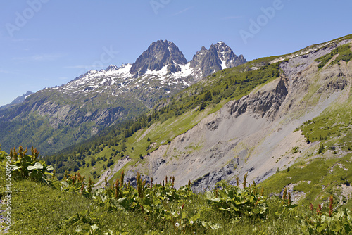 Mountain at Charamillon which depends on the commune Le Tour (1462m) near of Chamonix in the French Alps in the Haute-Savoie department of France photo