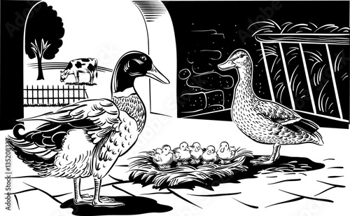 Male and female duck with some chicks.