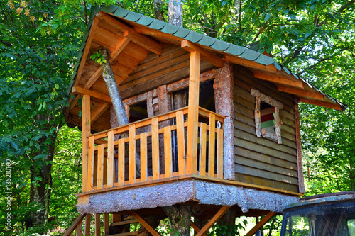 tree house photo