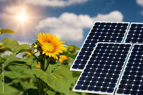 Photo collage of solar panels against the crops background - con