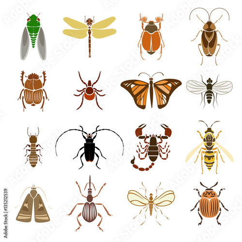 Colorful Insects Icons Collection
