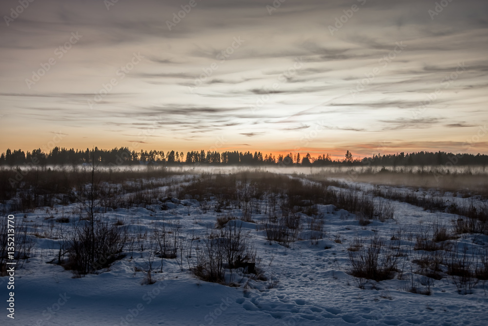 Field at winter