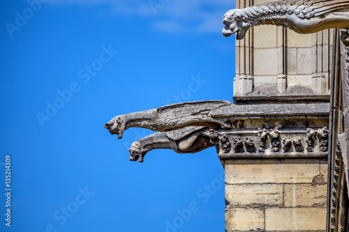 Gargoyles of Notre-Dame de Paris photo