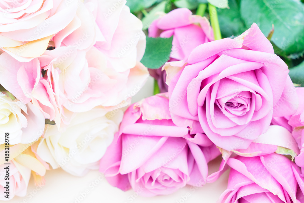 Valentines day violet and pink roses close up Valentines day violet and pink roses close up