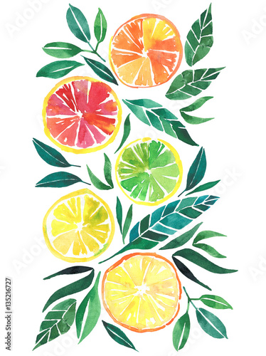 Bright tropical citrus orange lemon grapefruit pattern watercolor hand sketch