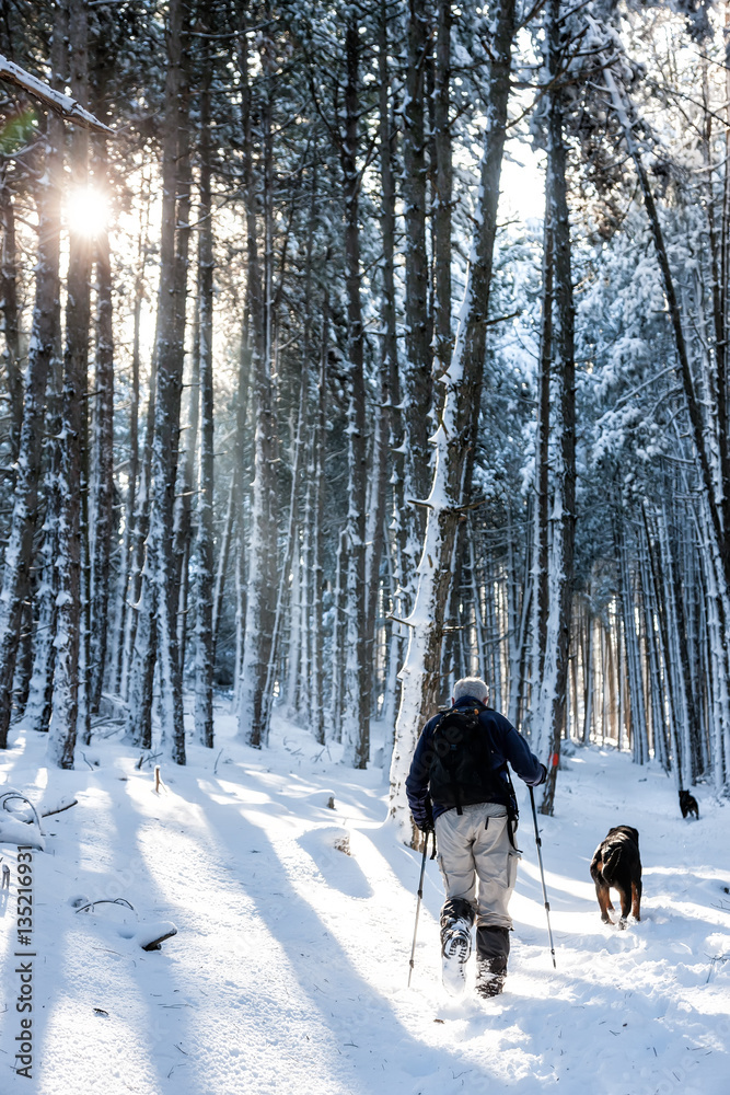 unknown man party with his dog walking in a snowy landscape in unknown man party with his dog walking in a snowy landscape in