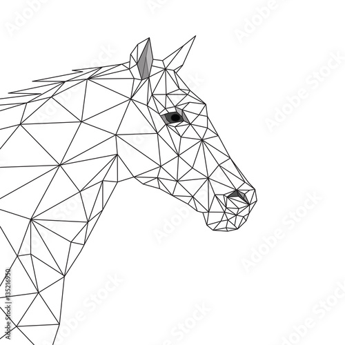 Cavallo geometrico, testa di cavallo vista di lato, design lineare di triangoli e poligoni sullo sfondo bianco photo