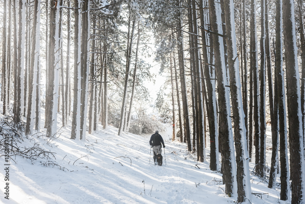 unknown man party with his dog walking in a snowy landscape in unknown man party with his dog walking in a snowy landscape in