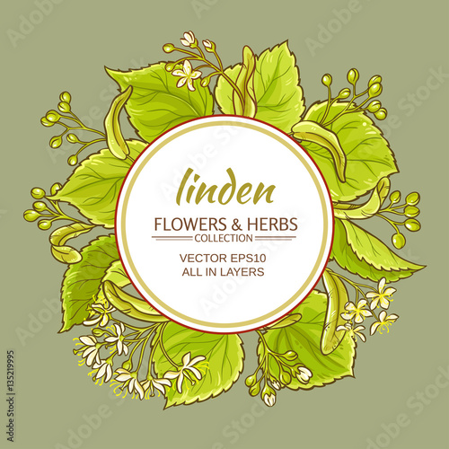 Wallpaper Mural linden vector frame Torontodigital.ca