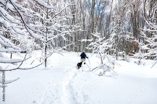  unknown man party with his dog walking in a snowy landscape in © ververidis