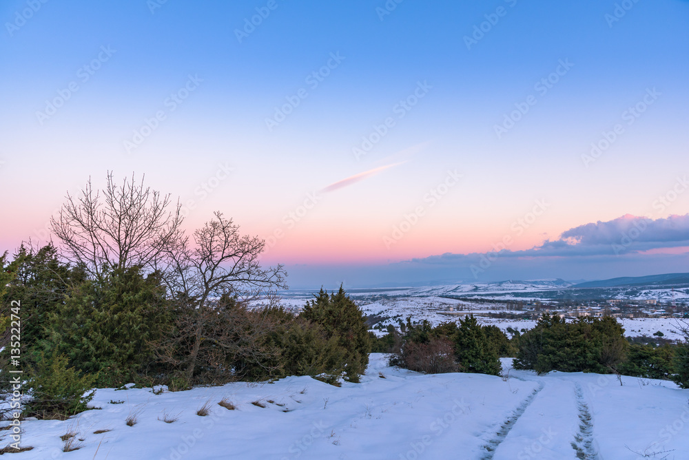 Road through a forest of juniper on the background of colorful sunset sky. Russia, Stary Krym. Road through a forest of juniper on the background of colorful sunset sky. Russia, Stary Krym.