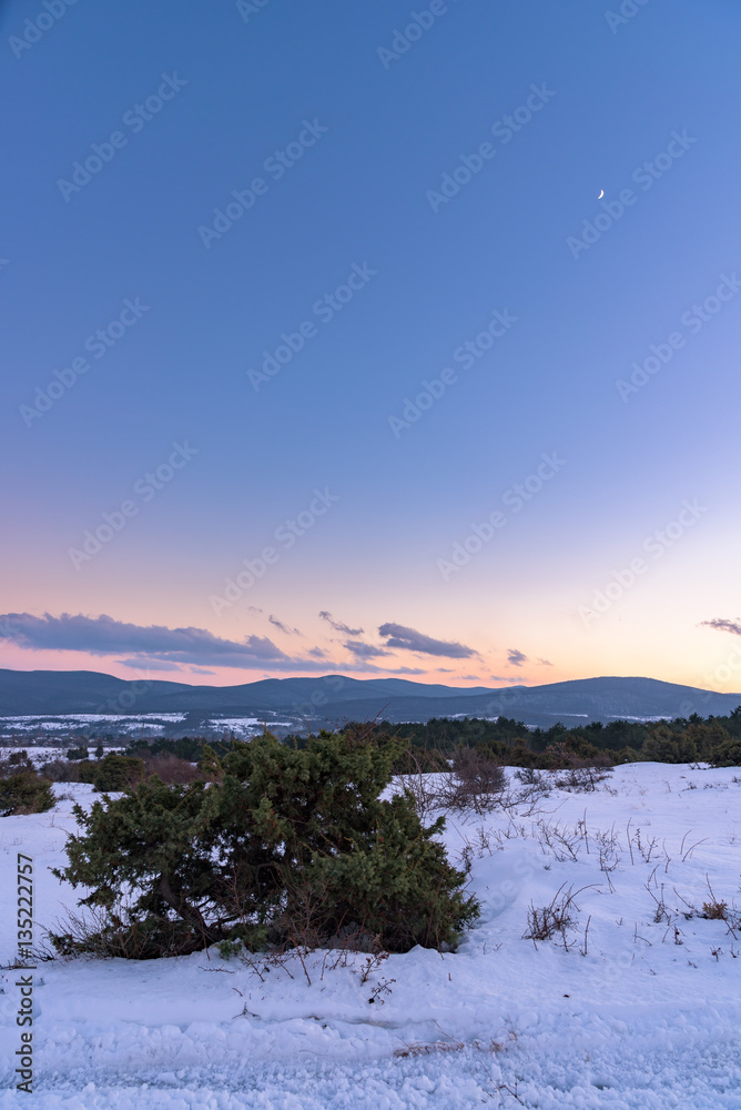 Amazing purple winter sunset with juniper and a crescent moon in the sky. Russia, Stary Krym.