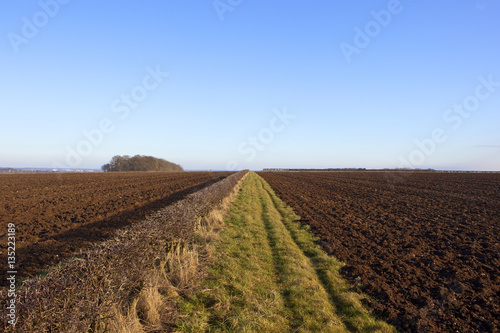 plow soil and hedgerow
