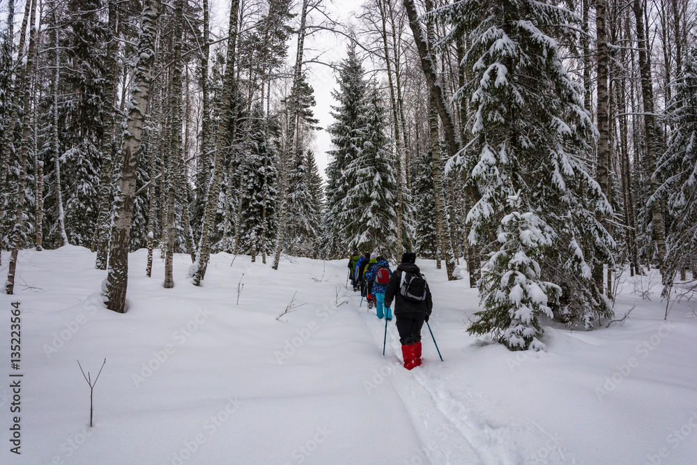 A small group of tourists in winter forest.