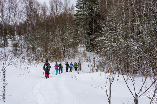 A small group of tourists in winter forest.
