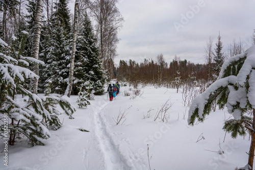 A small group of tourists in winter forest.