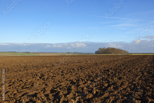 plow soil and copse