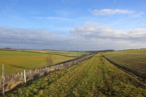 country walking landscape