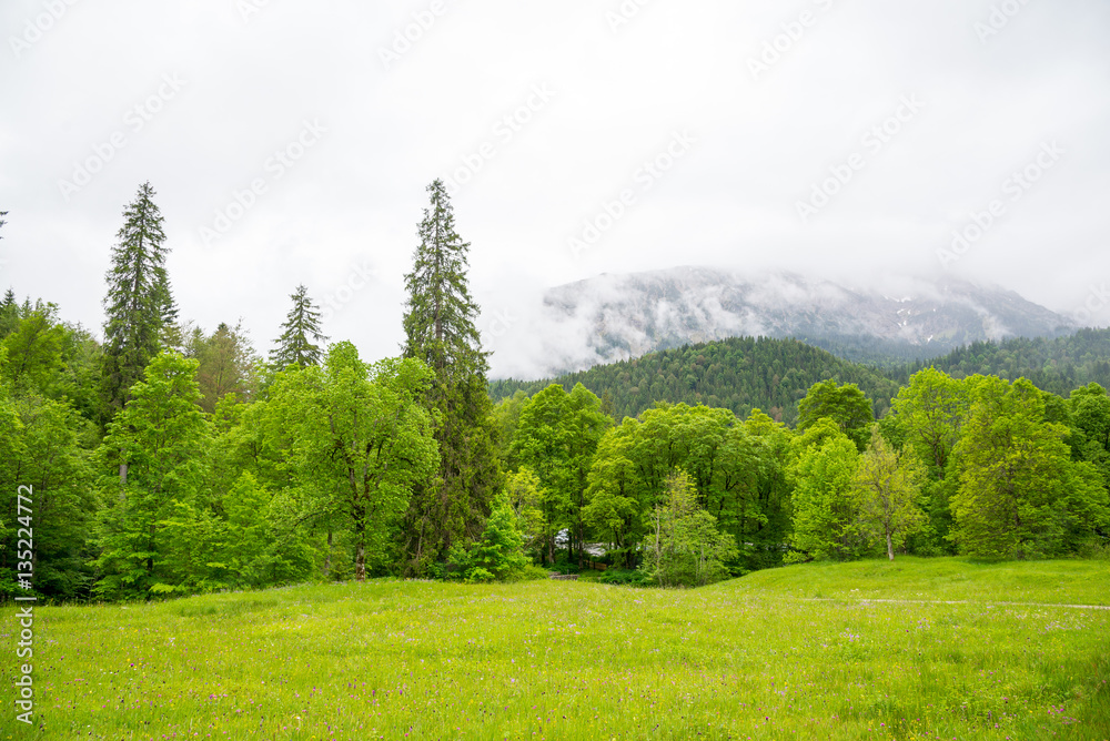Majestic fog and clouds in the Alps. Bavaria, Germany Majestic fog and clouds in the Alps. Bavaria, Germany