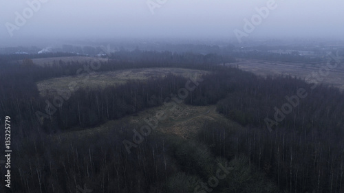 Fog over forest
