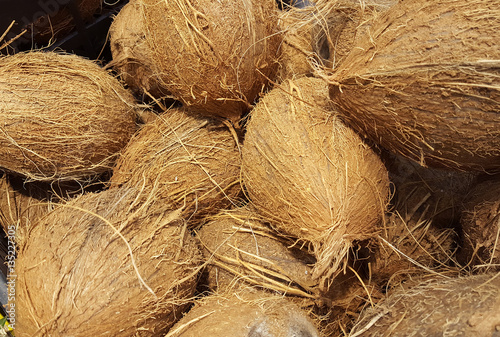 coconut exotic fruit details