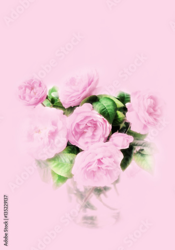 Delicate pink roses. DogRose Pink Rosa Canina Flowers.Valentine