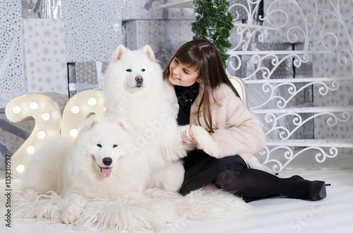 Fototapeta Naklejka Na Ścianę i Meble -  Young beautiful attractive woman in a white fur coat, sitting on a wooden floor with two white samoyeds